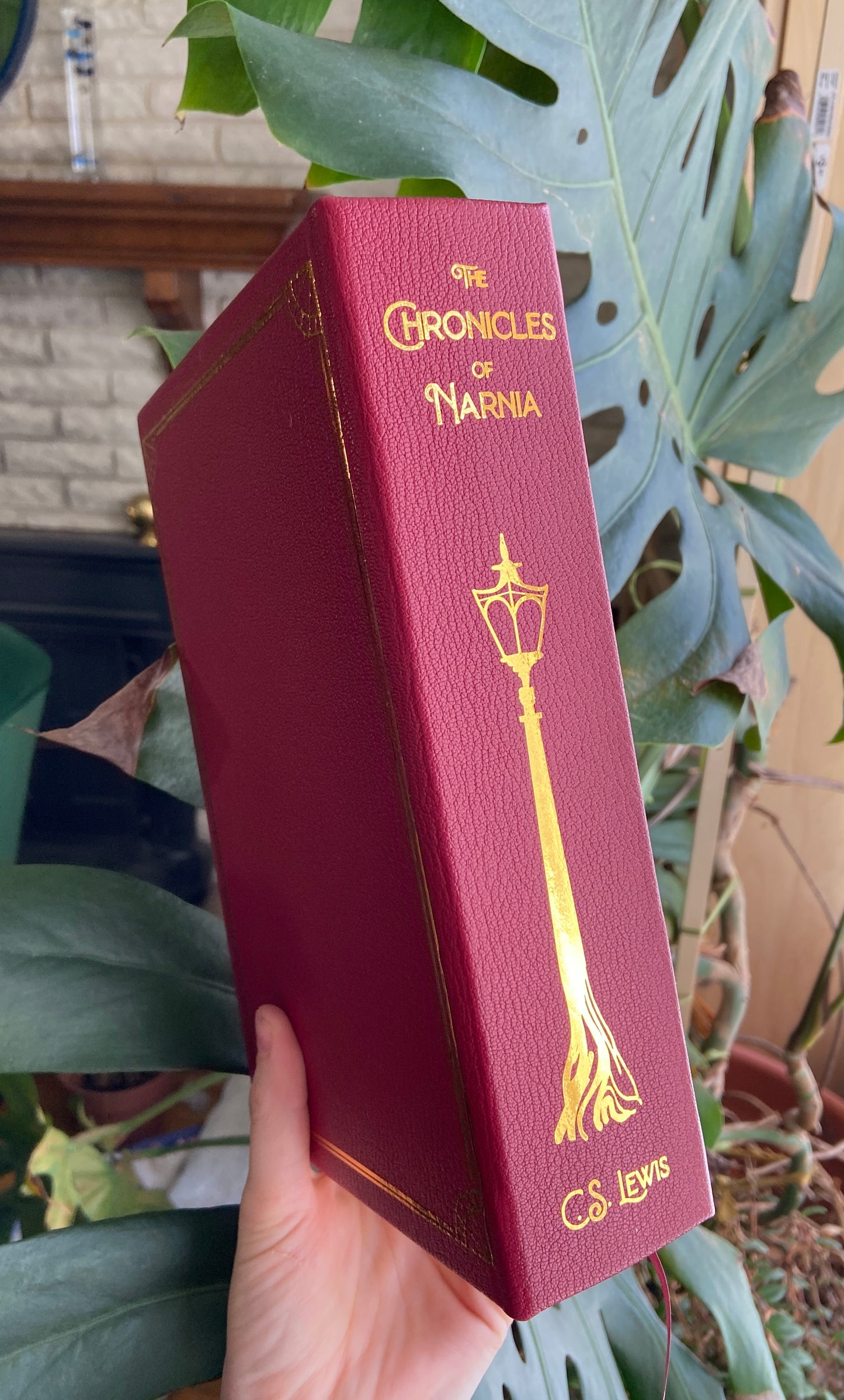 Chronicles of Narnia - Leatherbound