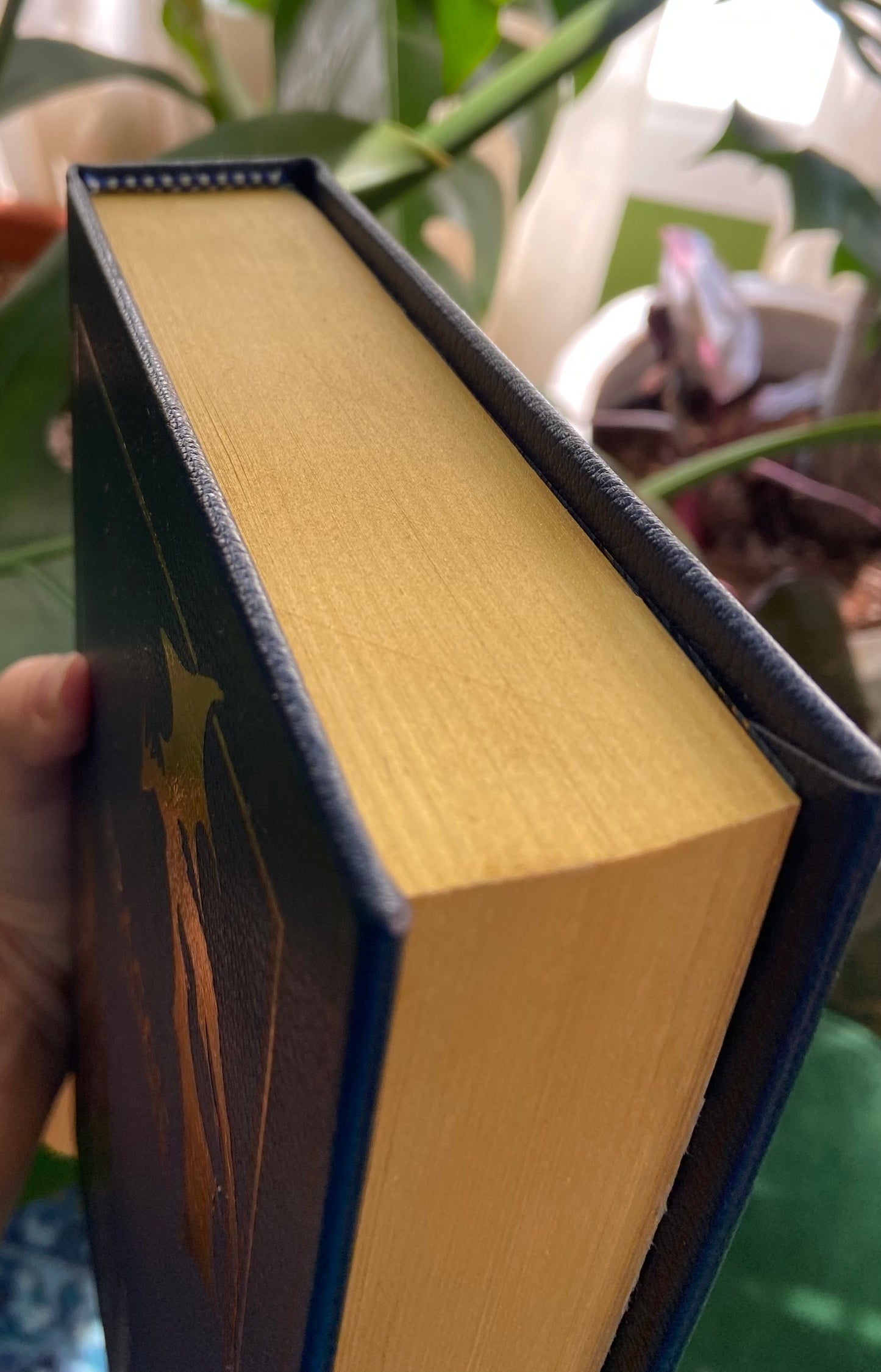 Eragon by Christopher Paolini - Handmade Leatherbound Collector’s Edition