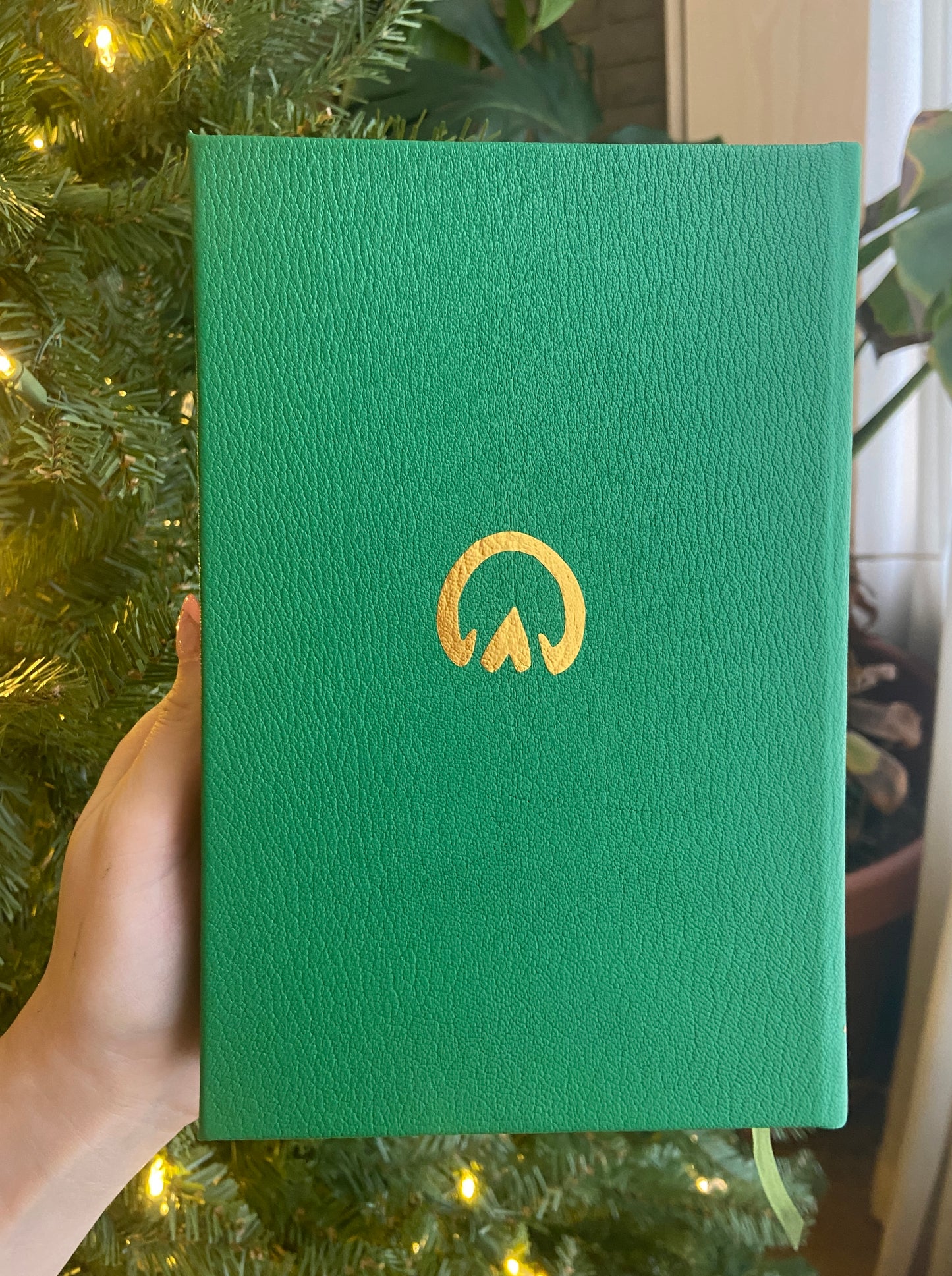 The Immortals Quartet by Tamora Pierce - Leatherbound Collector's Editions